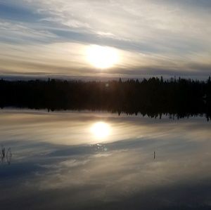 Meet your Posher, Laurie